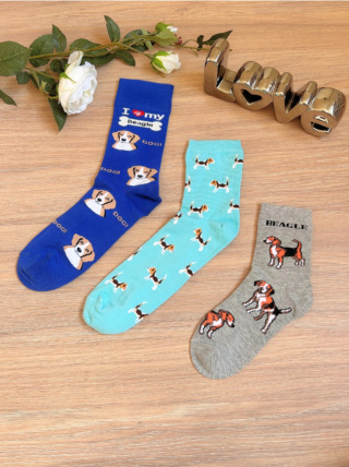 Zestaw skarpetek dla rodziny w psy w Beagle