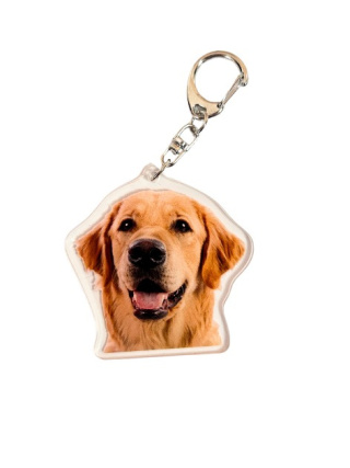 Brelok Golden Retriever Akrylowy