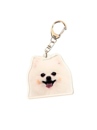 Brelok Pomeranian Szpic Akrylowy