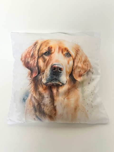 Poszewka na poduszkę z Golden Retrieverem Poszewka na poduszkę z Golden Retrieverem