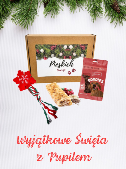 Prezent świąteczny dla psa (śnieżynka)