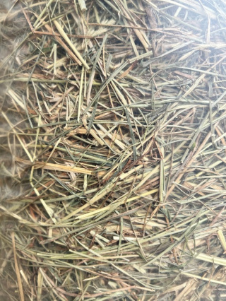 Sianko siano dla królika, świnki morskiej, szynszyla, gryzoni 1 kg / 1,5 kg