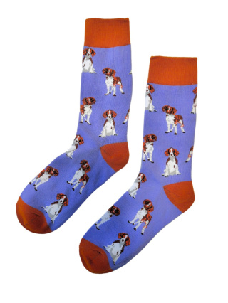 Skarpetki damskie w Cavalier King Charles Spaniel