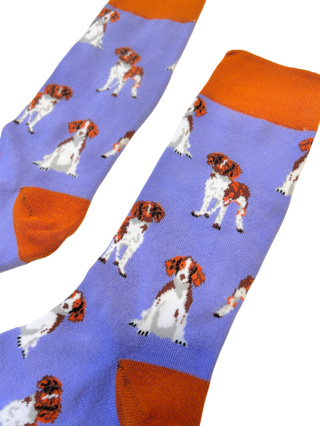 Skarpetki damskie w Cavalier King Charles Spaniel