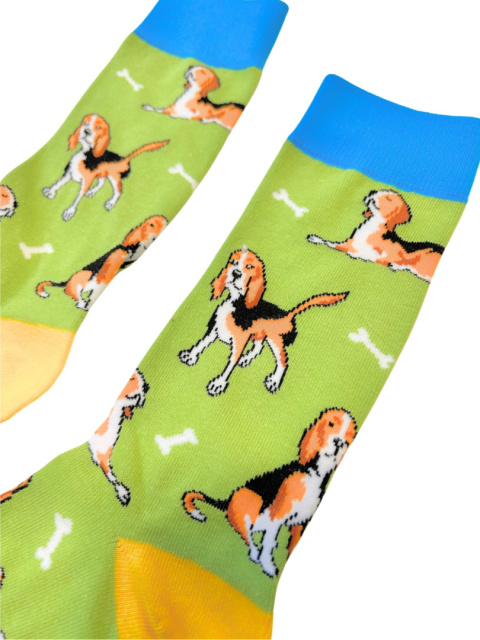 Skarpetki w Beagle Męskie (kolorowe)