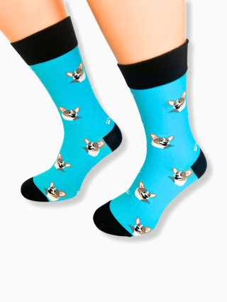 Skarpetki męskie z Corgi niebieskie