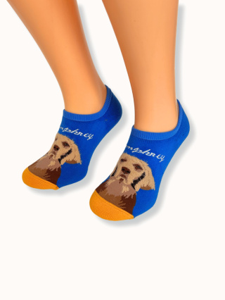 Stopki męskie ocieplane z Golden Retriever niebieskie