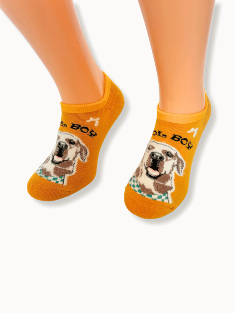 skarpetki z labradorem skarpetki z labradorem