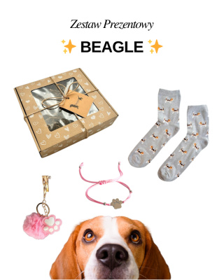 Prezent dla Miłośniczki Beagle