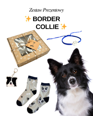 Prezent dla Miłośniczki Border Collie
