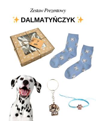 Prezent dla Miłośniczki Dalmatyńczyka