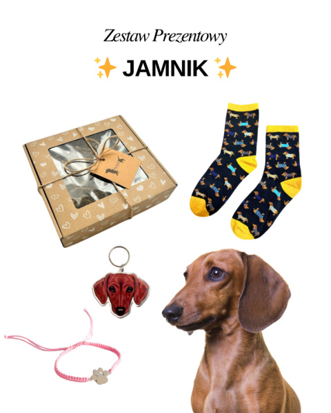 Prezent dla Miłośniczki Jamnika