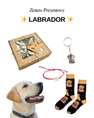 Prezent dla Miłośniczki Labradora