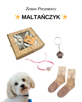 Prezent dla Miłośniczki Maltańczyka