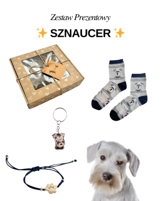 Prezent dla Miłośniczki Sznaucera