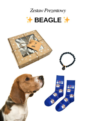 Prezent dla Miłośnika Beagle