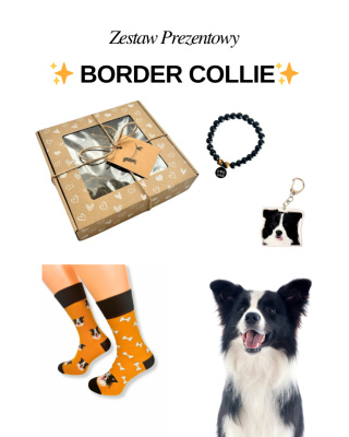 Prezent dla Miłośnika Border Collie