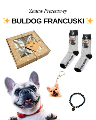 Prezent dla Miłośnika Buldoga Francuskiego