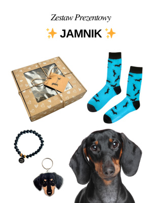 Prezent dla Miłośnika Jamników Czarnych