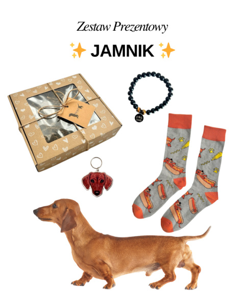 Prezent dla Miłośnika Jamników Prezent dla Miłośnika Jamników