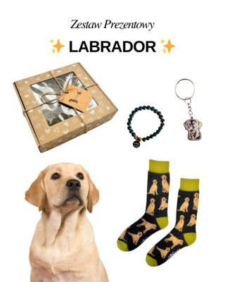 Prezent dla Miłośnika Labradora