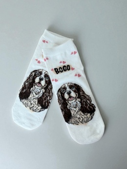 Skarpetki damskie w Cavalier King Charles Spaniel