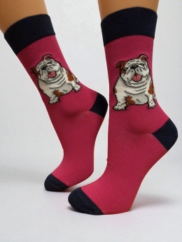 Skarpetki z Buldogiem Angielskim Damskie (różowe)