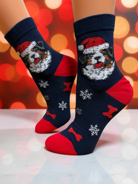 Skarpetki Świąteczne z Berneński Pies Pasterski Damskie