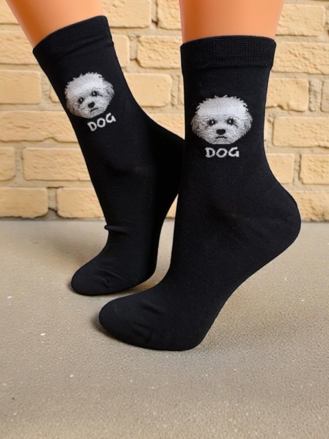 Skarpetki Bichon Frise Damskie