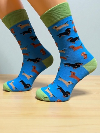 Skarpetki w Jamniki Męskie (kolorowe)