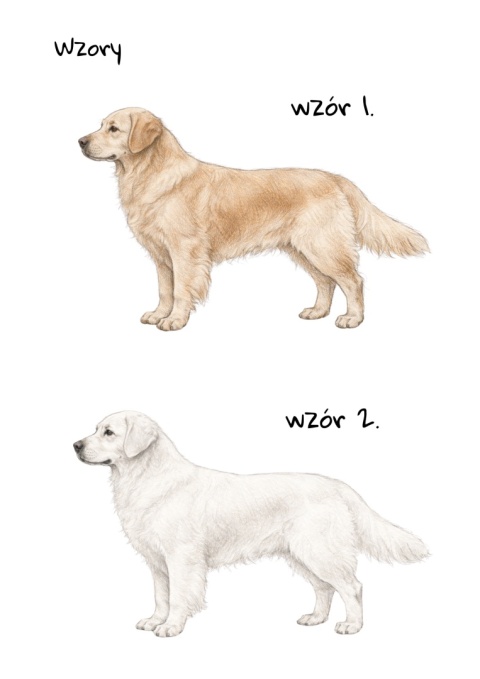 Koszulka z Golden Retrieverem Psiurwa