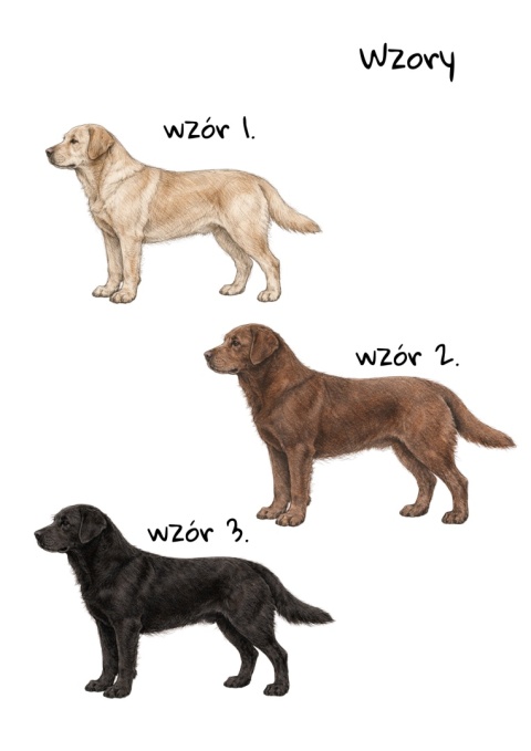 Koszulka z Labradorem Psiurwa