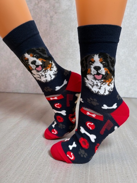 Skarpetki Berneński Pies Pasterski Damskie