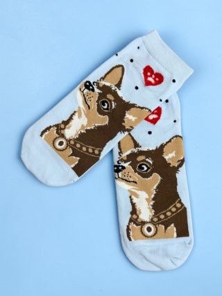 Skarpetki Chihuahua Damskie (błękitne)