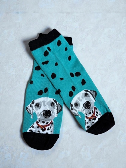 Skarpetki Dalmatyńczyk Damskie (turkusowe)