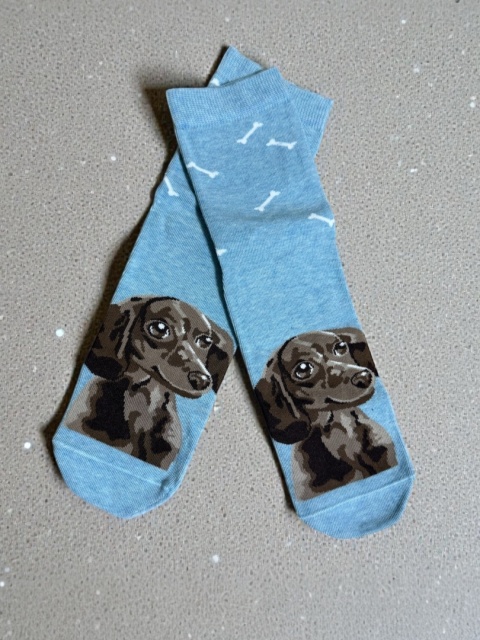 Skarpetki Jamnik Damskie (błękitne)