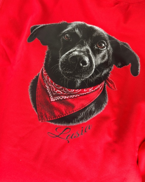 bluza personalizowana z psem