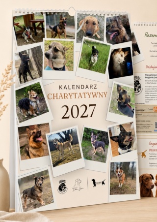 Kalendarz charytatywny Psy i Koty 2027