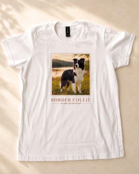 Koszulka z Border Collie Damska