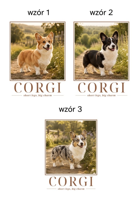 Koszulka z Corgi Damska