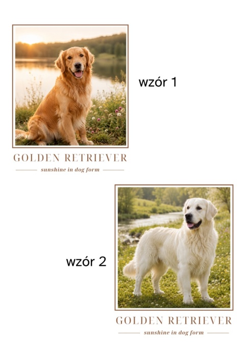 Koszulka z Golden Retrieverem Damska