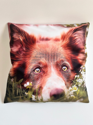 Poszewka na poduszkę z Border Collie Brązowy