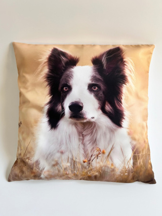 Poszewka na poduszkę z Border Collie