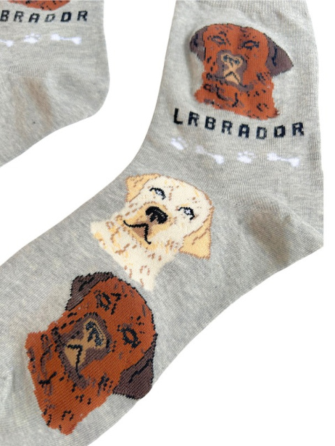 Skarpetki damskie w Labradory szare Skarpetki damskie w Labradory szare