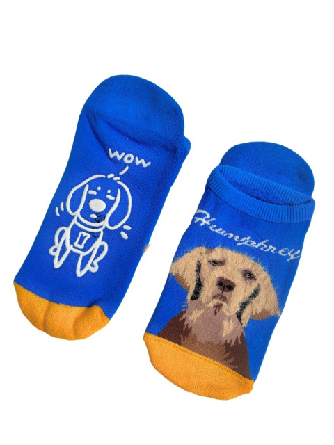 Stopki męskie ocieplane z Golden Retriever niebieskie