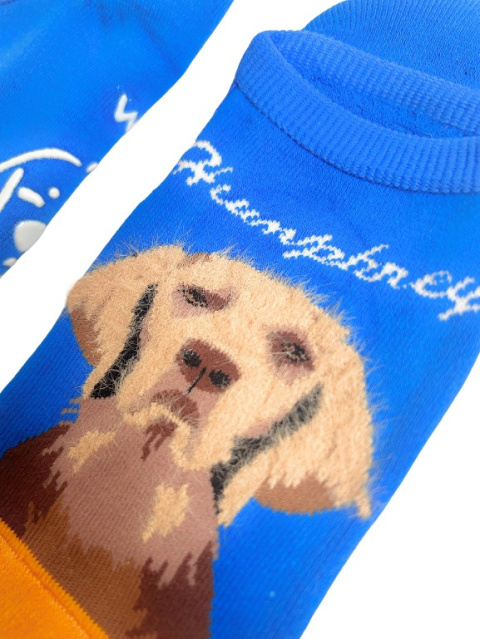 Stopki męskie ocieplane z Golden Retriever niebieskie
