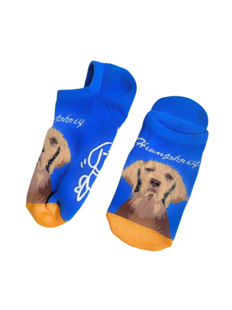 Stopki męskie ocieplane z Golden Retriever niebieskie
