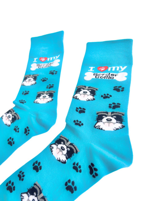 Skarpetki męskie z Border Collie niebieskie